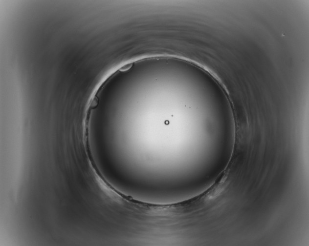 X0000086791535200704201834
