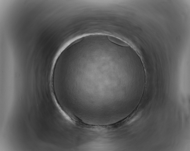 X0000086791536200704201834