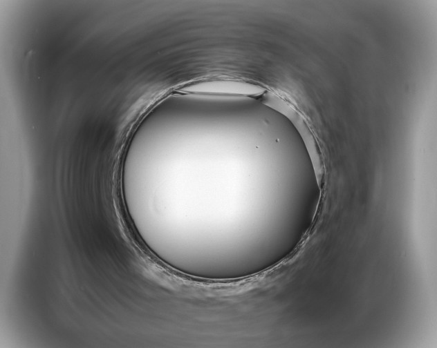 X0000086790001200704271839