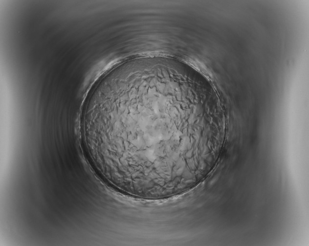 X0000086790002200704271839