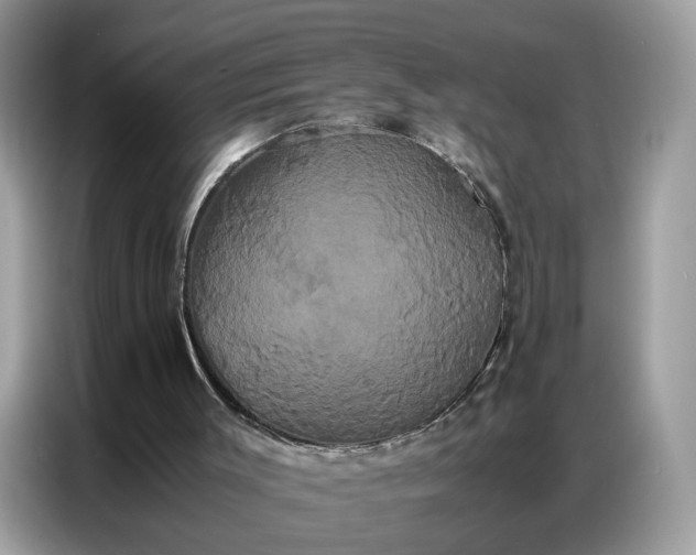 X0000086790003200704271839