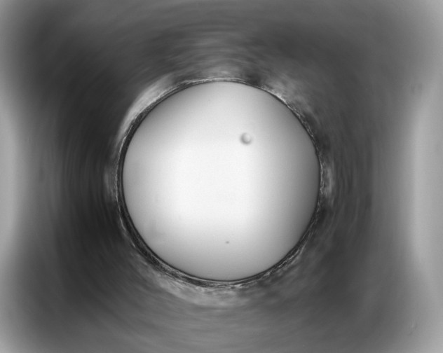 X0000086790004200704271839