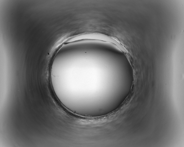 X0000086790005200704271839