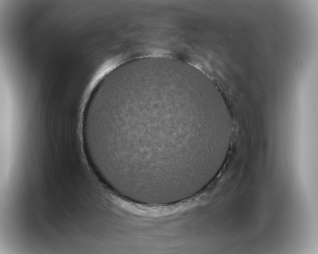 X0000086790006200704271839