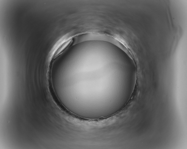 X0000086790007200704271839