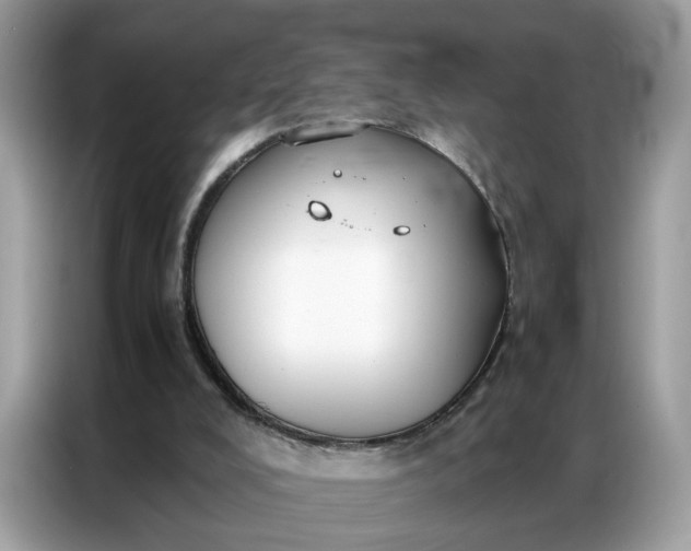 X0000086790008200704271839