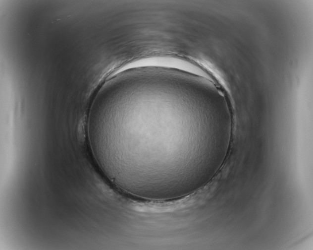 X0000086790009200704271839