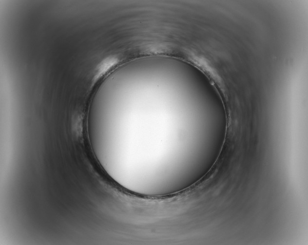 X0000086790010200704271839