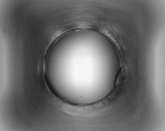 X0000086790011200704271839