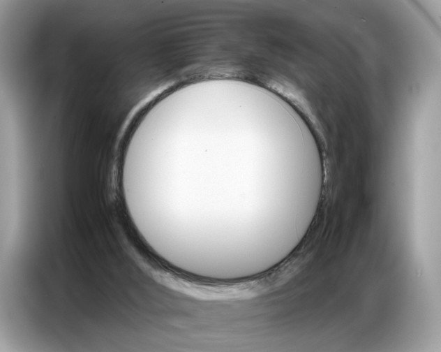 X0000086790012200704271839