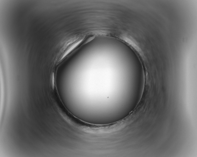 X0000086790013200704271839