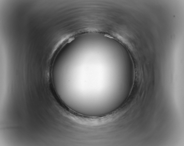 X0000086790015200704271839