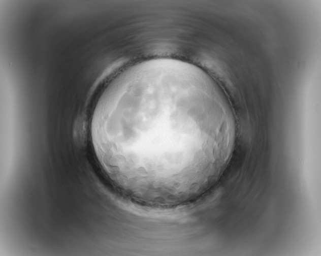 X0000086790016200704271839