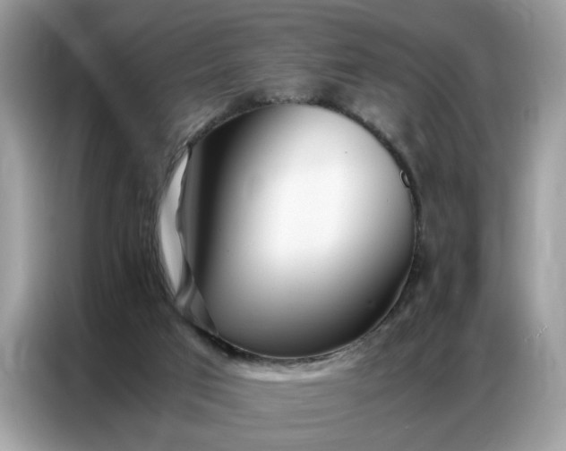 X0000086790017200704271839