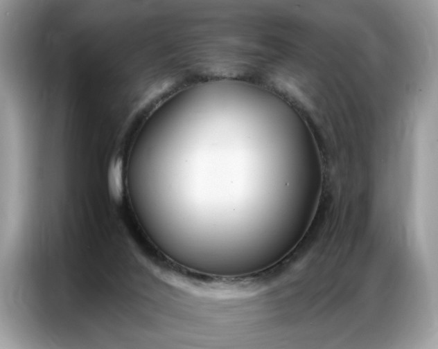 X0000086790020200704271839