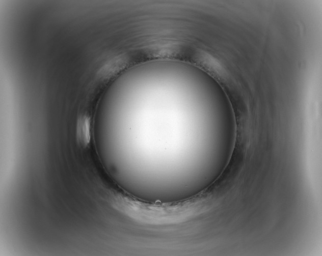 X0000086790022200704271839