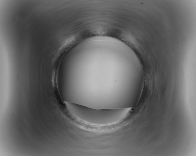 X0000086790023200704271839