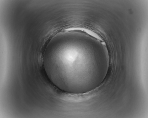 X0000086790029200704271839