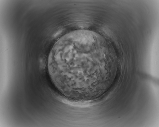 X0000086790032200704271839