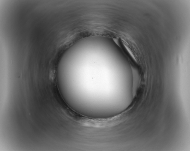 X0000086790033200704271839