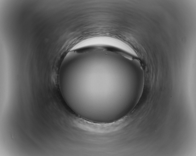 X0000086790035200704271839