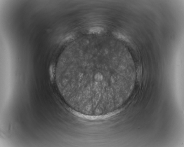 X0000086790038200704271839