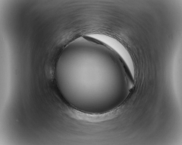 X0000086790039200704271839