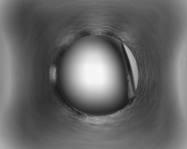 X0000086790041200704271839