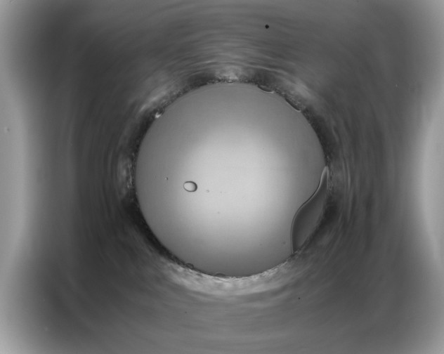 X0000086790043200704271839