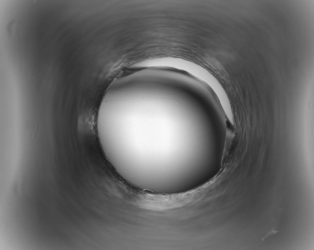 X0000086790045200704271839