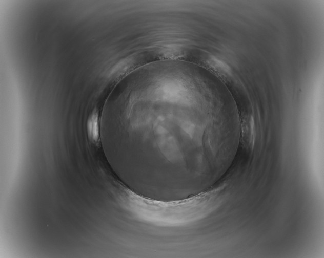 X0000086790046200704271839