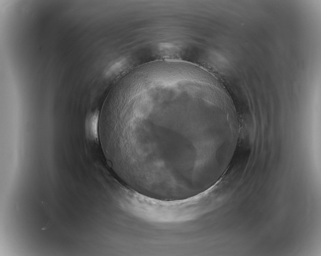 X0000086790047200704271839