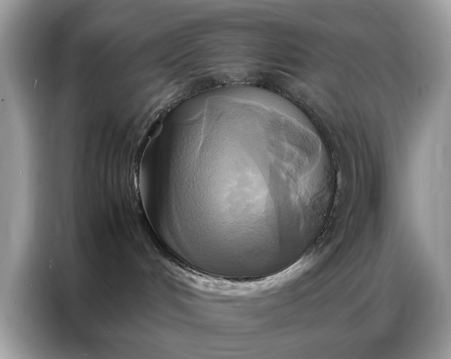 X0000086790048200704271839