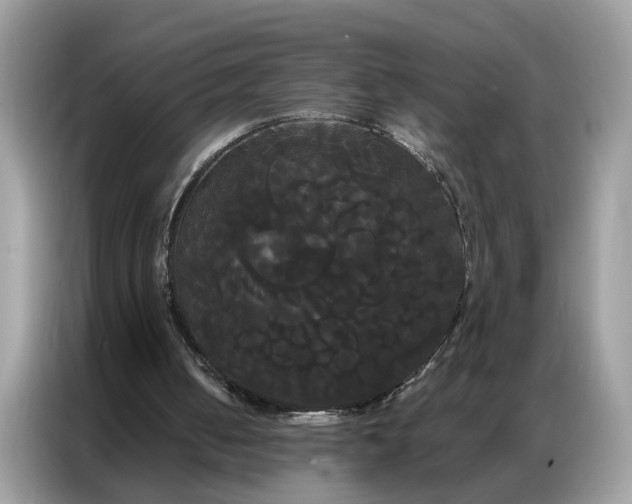 X0000086790050200704271838