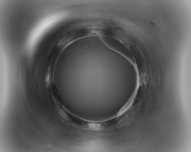 X0000086790052200704271838