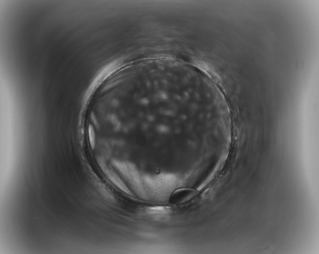 X0000086790053200704271838