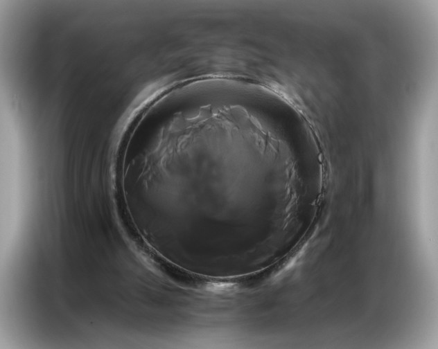 X0000086790055200704271838