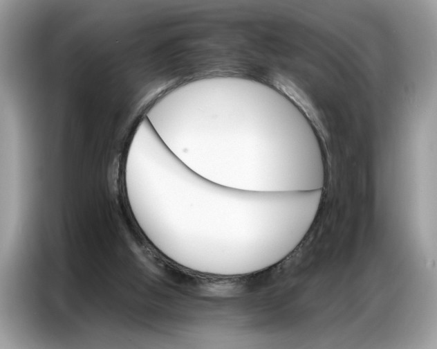 X0000086790058200704271838