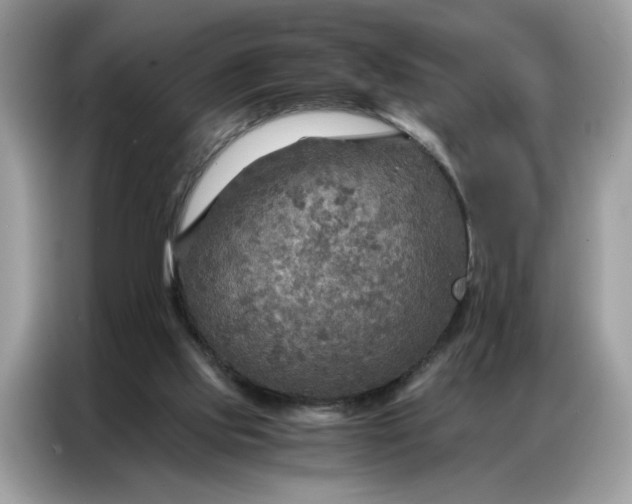 X0000086790061200704271838