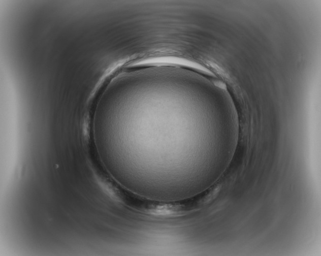 X0000086790064200704271838