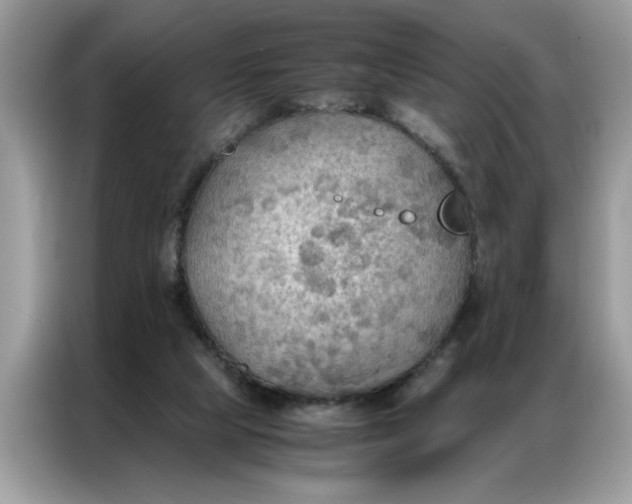 X0000086790065200704271838