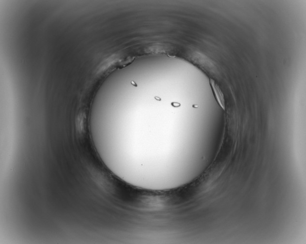 X0000086790071200704271838