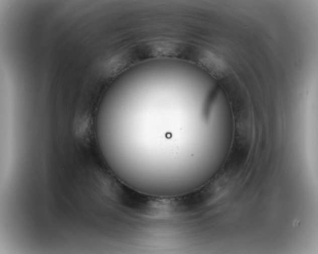 X0000086790079200704271839