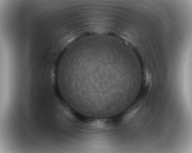 X0000086790080200704271839