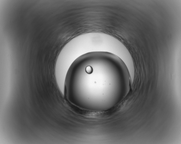 X0000086790084200704271839