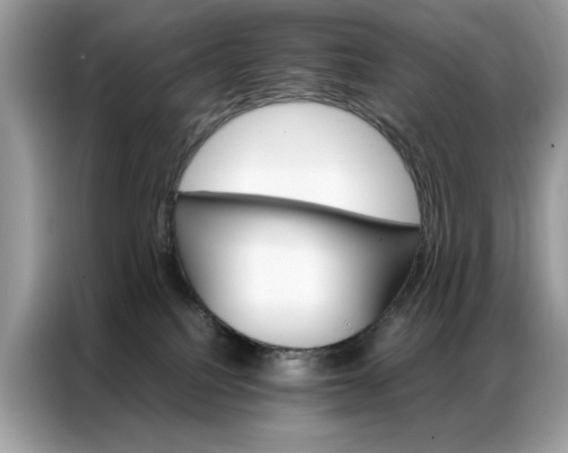 X0000086790088200704271839