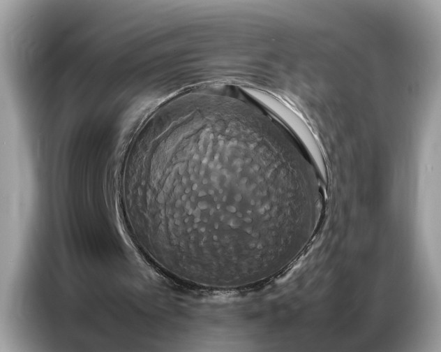 X0000086790097200704271838