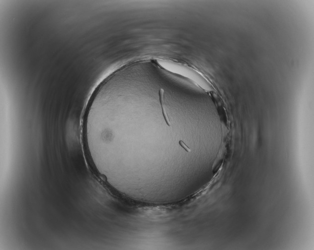 X0000086790100200704271838