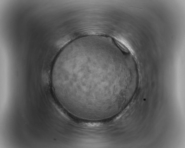 X0000086790105200704271838