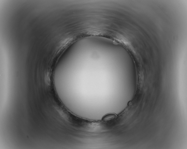 X0000086790114200704271838